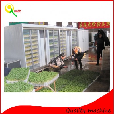 mung bean sprouts breeding machine / lyine green beans sprouts farming equipment / Organic hydroponic soya bean sprouting system