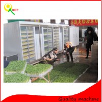 mung bean sprouts breeding machine / lyine green beans sprouts farming equipment / Organic hydroponic soya bean sprouting system