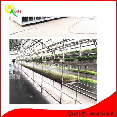 Automatic hydroponic bud seedling machine for sale