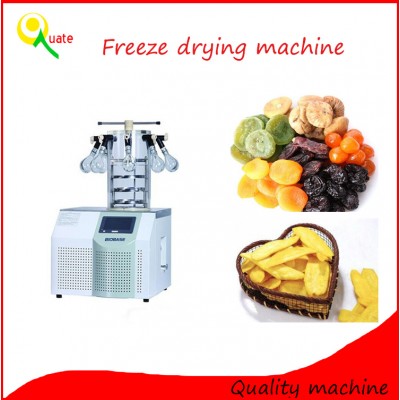 vegetable and fruit drying equipment/drying fruit oven/organic freeze dried fruit machine